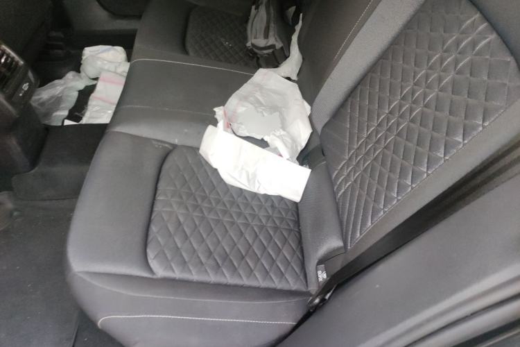 Used Volkswagen Lamando 2024 Lingdu L 200TSI DSG Trendy & Spicy Edition Left Rear Seat