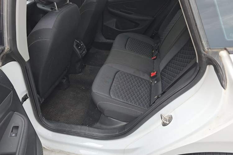 Used Volkswagen Lamando 2024 Lingdu L 200TSI DSG Trendy & Spicy Edition Left Rear Seat