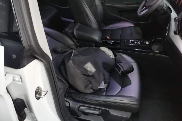 Used Volkswagen Lamando 2024 Lingdu L 200TSI DSG Trendy & Spicy Edition Right Front Seat