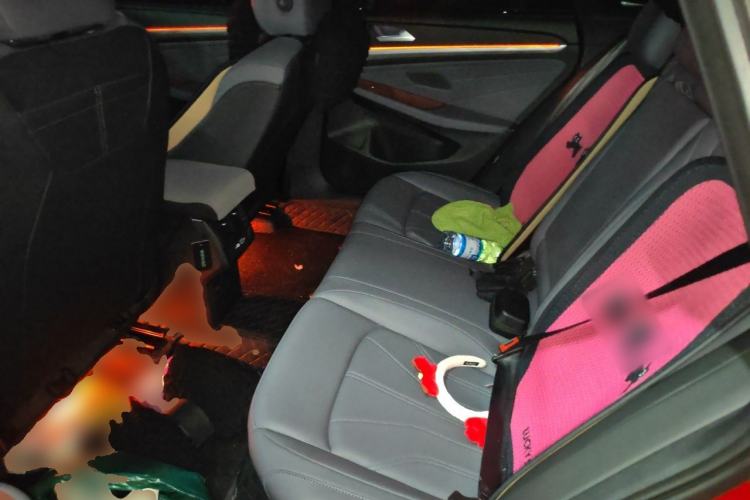 Used Volkswagen Lamando 2026 Lavida L GTS 380TSI Lingfeng Millionth Anniversary Edition Left Rear Seat