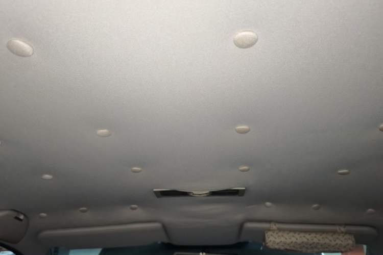 Used Volkswagen Lavida 2008 1.6L Automatic Joy Edition Headliner