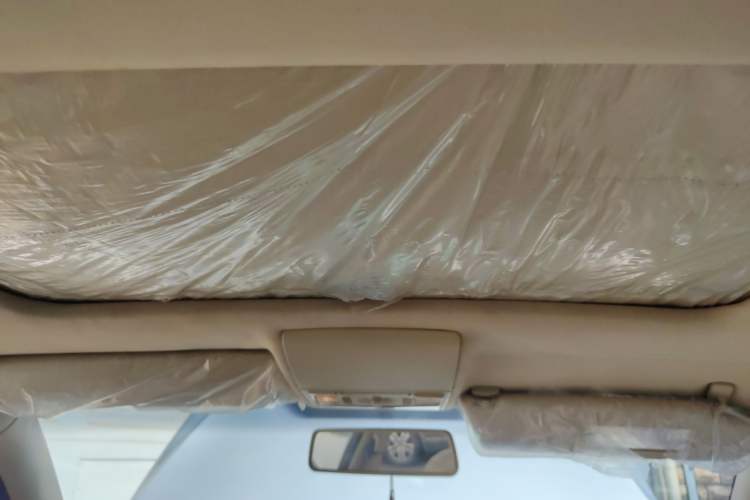 Used Volkswagen Lavida 2008 1.6L Manual Premium Edition Headliner