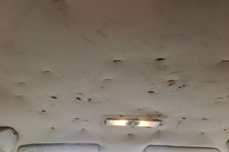Used Volkswagen Lavida 2008 1.6L Automatic Joy Edition Headliner