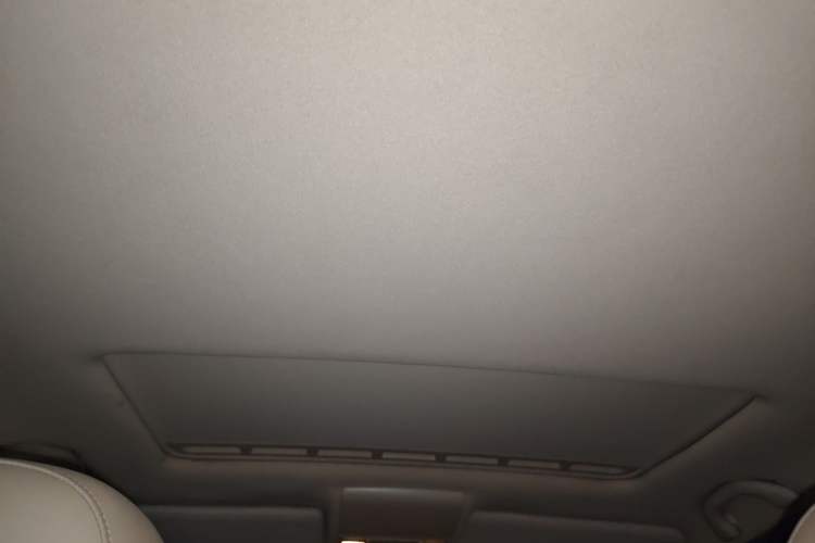 Used Volkswagen Lavida 2008 1.6L Automatic Prestige Edition Headliner