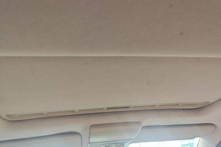 Used Volkswagen Lavida 2011 1.6L Automatic Premium Edition Headliner