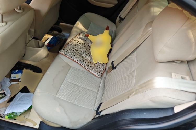 Used Volkswagen Lavida 2011 2.0L Automatic Premium Edition Left Rear Seat