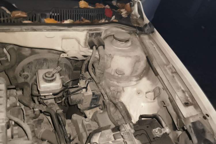 Used Volkswagen Lavida 2013 Restyled Classic 1.6L Automatic Comfort Edition Engine Bay Left