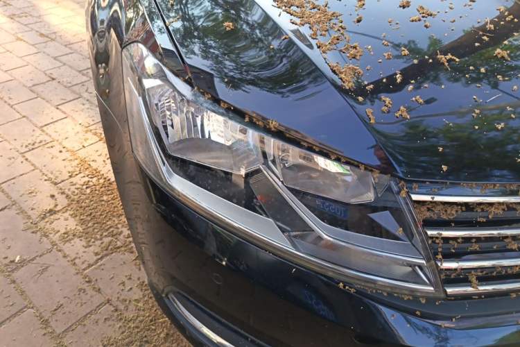 Used Volkswagen Lavida 2015 1.6L Manual Comfort Edition Right Front Headlight