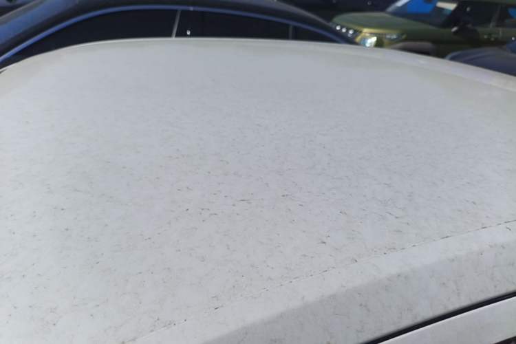 Used Volkswagen Lavida 2017 1.6L Automatic Fashion Edition Roof