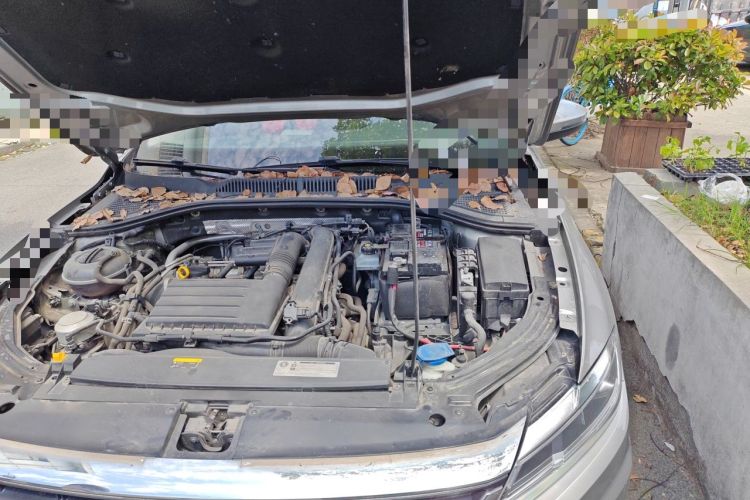 Used Volkswagen Lavida 2019 280TSI DSG Comfort Edition China VI standard Engine Bay Left