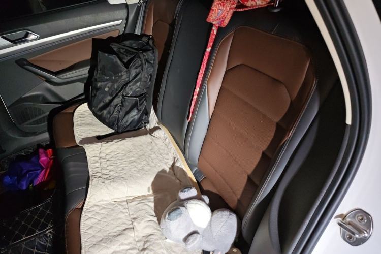 Used Volkswagen Lavida 2019 280TSI DSG Luxury Edition China VI Standard Left Rear Seat