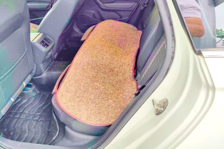 Used Volkswagen Lavida 2019 280TSI DSG Comfort Edition China VI standard Left Rear Seat