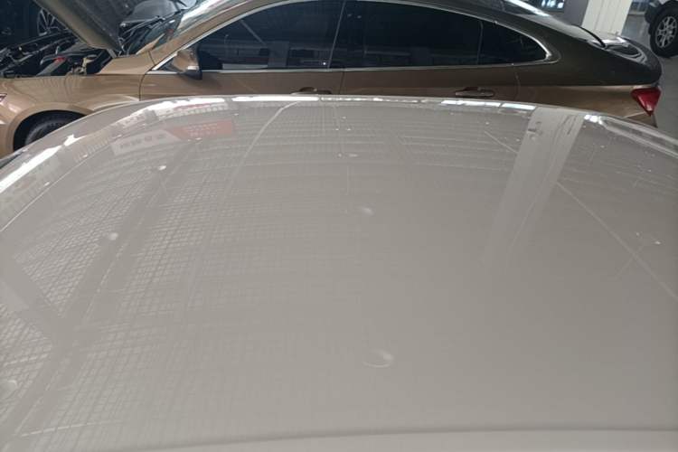 Used Volkswagen Lavida 2019 Lavida Start 1.5L Automatic Trendy Version China VI Standard Roof