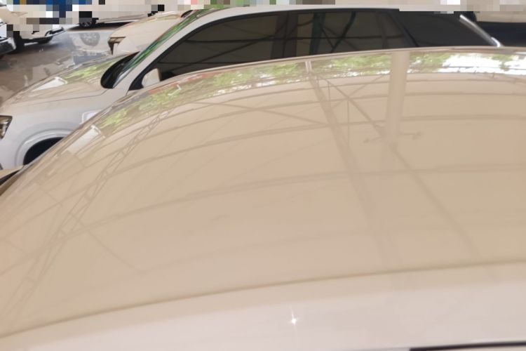 Used Volkswagen Lavida 2019 Lavida Start 1.5L Automatic Trendy Version China VI Standard Roof