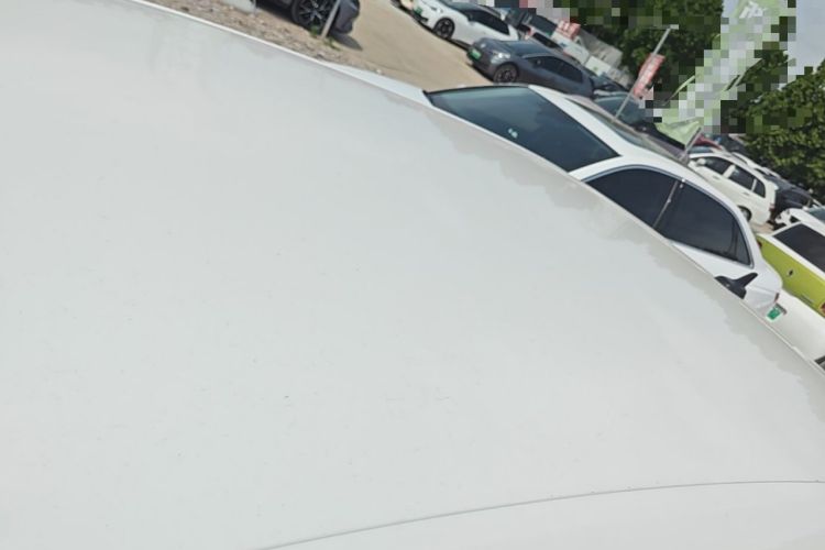 Used Volkswagen Lavida 2019 Lavida Start 1.5L Automatic Trendy Version China VI Standard Roof