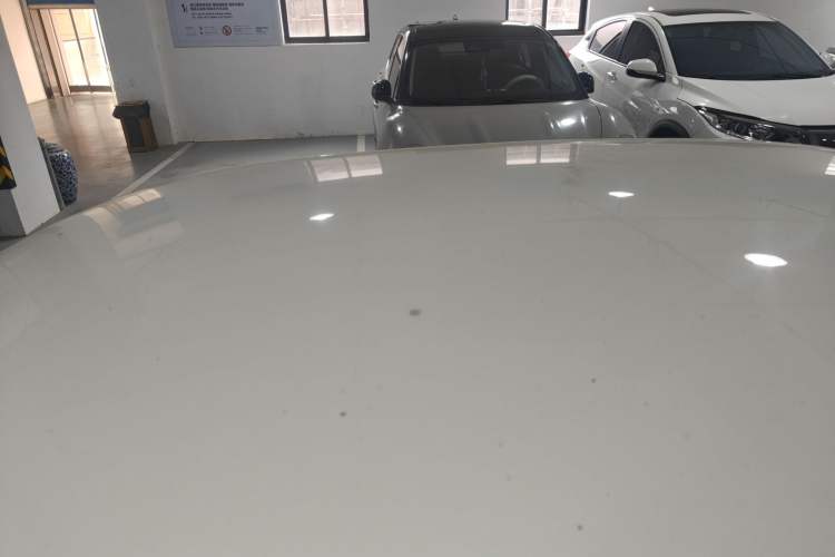 Used Volkswagen Lavida 2019 Lavida Start 1.5L Automatic Trendy Version China VI Standard Roof