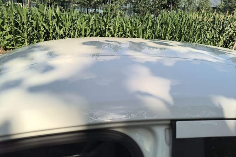 Used Volkswagen Lavida 2019 Lavida Start 1.5L Manual Fashion Edition China VI Standard Roof