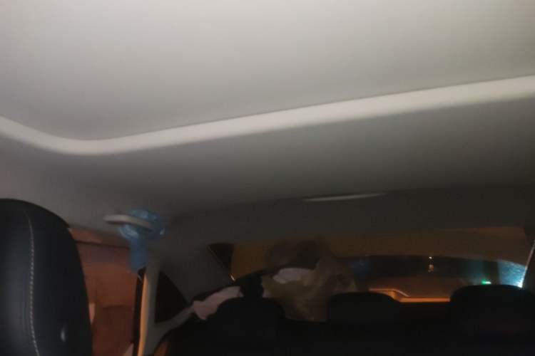 Used Volkswagen Lavida 2021 1.5L Automatic Comfort Edition Headliner