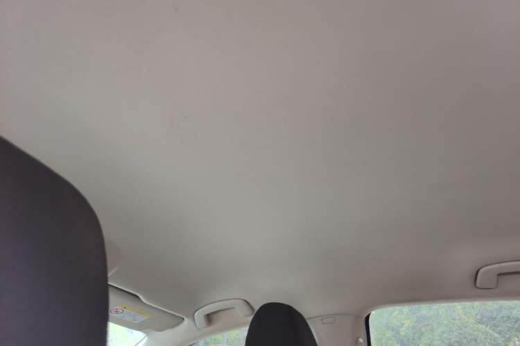 Used Volkswagen Lavida 2021 1.5L Automatic Fashion Edition Headliner