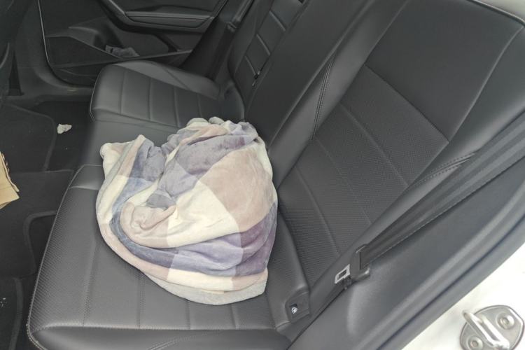 Used Volkswagen Lavida 2021 1.5L Automatic Comfort Edition Left Rear Seat