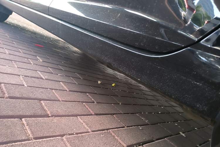 Used Volkswagen Lavida 2022 280TSI DSG Comfort Edition Left Side Sill