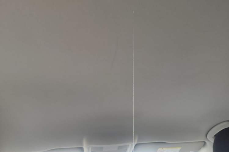 Used Volkswagen Lavida 2023 1.5L Automatic De Yi Edition Headliner