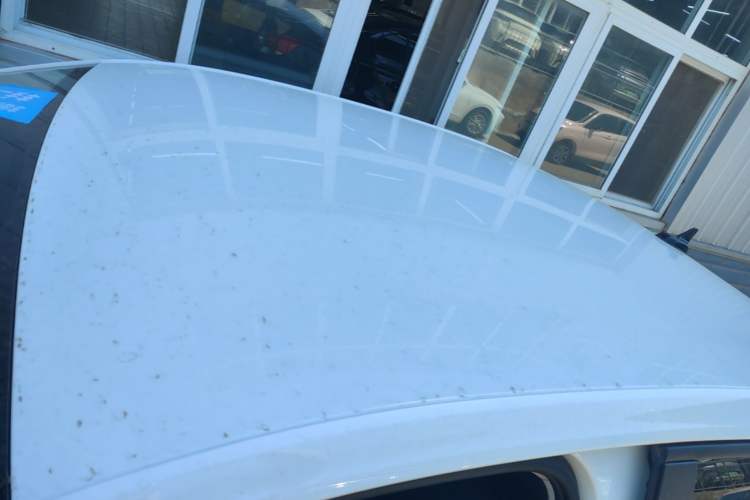 Used Volkswagen Lavida 2024 1.5L Automatic DeYi Edition Roof