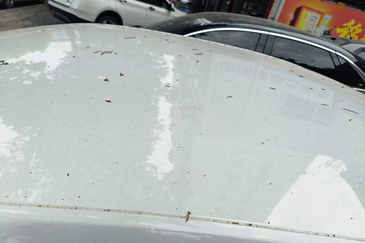 Used Volkswagen Lavida 2024 1.5L Automatic DeYi Edition Roof