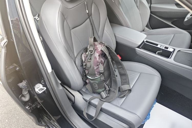 Used Volkswagen Lavida 2026 Pro 1.5L Six Million Edition Right Front Seat