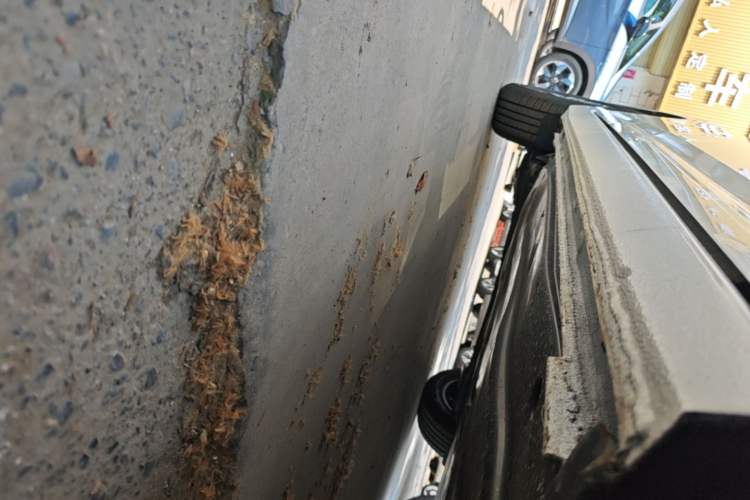 Used Volkswagen Lavida 2026 1.5L Automatic Starry Five-Million Edition Right Side Sill