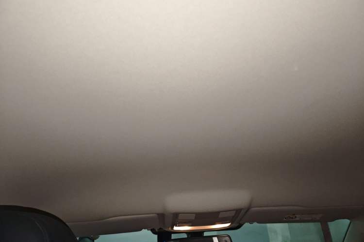 Used Volkswagen Lavida Pure Electric 2019 Enjoyment Edition Headliner