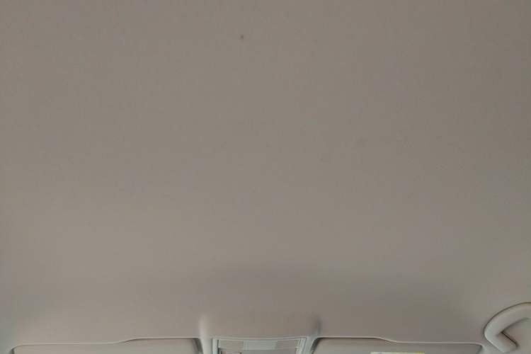 Used Volkswagen Lavida Pure Electric  Headliner