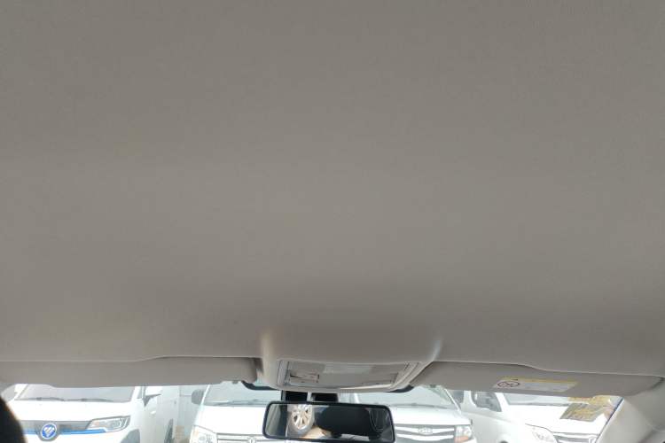 Used Volkswagen Lavida Pure Electric 2019 Low-Trim Version Headliner