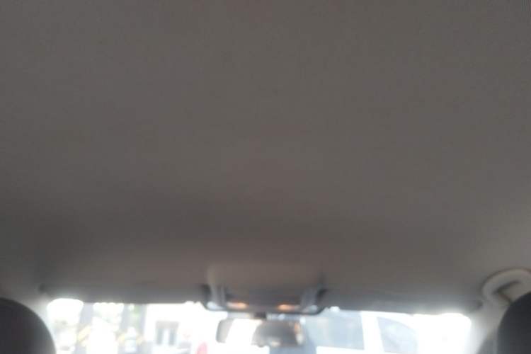 Used Volkswagen Lavida Pure Electric  Headliner