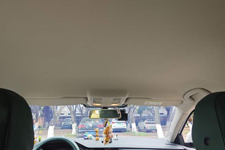 Used Volkswagen Lavida Pure Electric 2019 Low-Trim Version Headliner