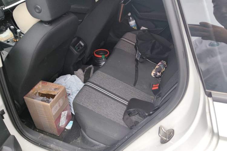 Used Volkswagen Lavida Pure Electric 2019 Enjoyment Edition Left Rear Seat