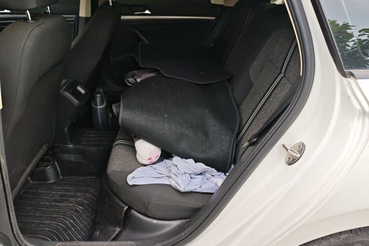Used Volkswagen Lavida Pure Electric 2019 Low-Trim Version Left Rear Seat