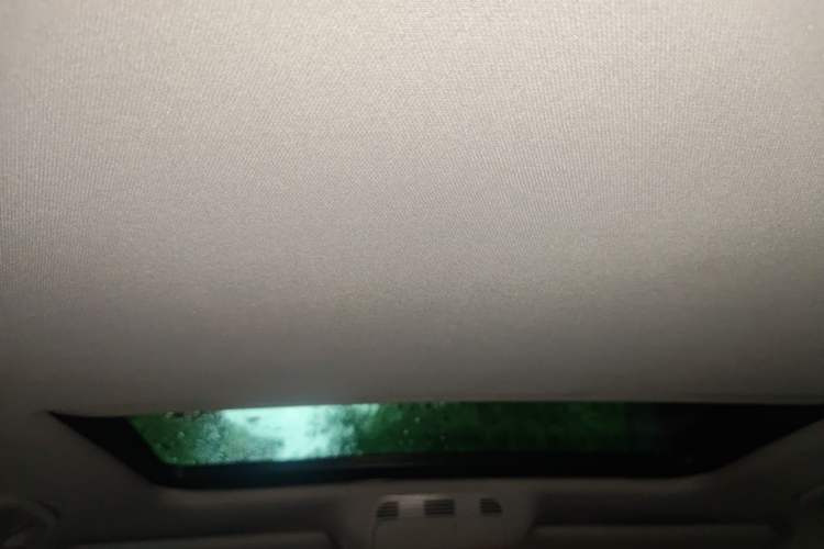 Used Volkswagen Magotan 2007 3.2 Luxury Model Headliner
