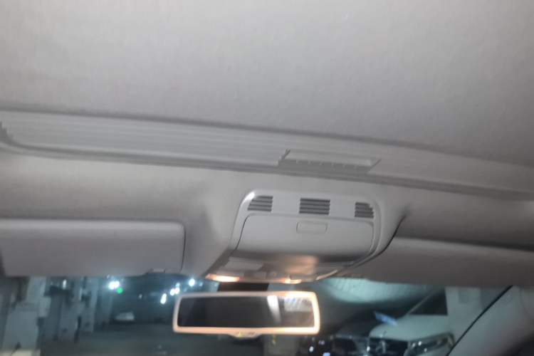 Used Volkswagen Magotan 2009 1.8 TSI DSG Comfort Edition Headliner