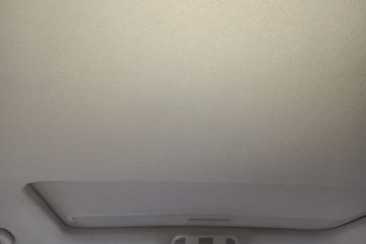 Used Volkswagen Magotan 2009 2.0 TSI DSG Comfort Edition Headliner