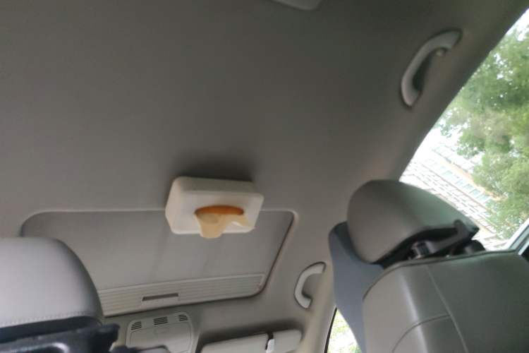 Used Volkswagen Magotan 2009 1.8 TSI DSG Comfort Edition Headliner