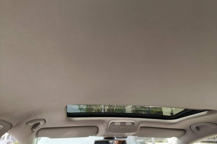 Used Volkswagen Magotan 2009 2.0 TSI DSG Luxury Version Headliner