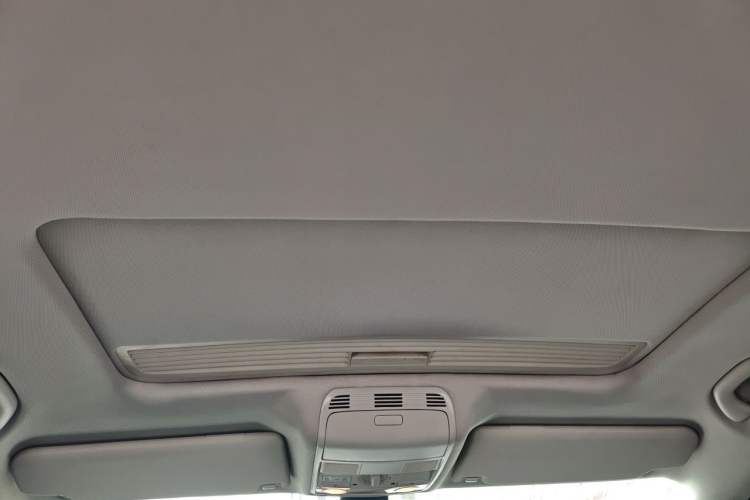 Used Volkswagen Magotan 2009 1.8 TSI DSG Luxury Edition Headliner