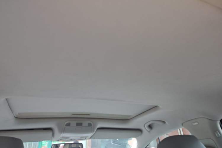 Used Volkswagen Magotan 2010 1.4TSI Elite Edition Headliner