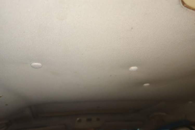 Used Volkswagen Magotan 2011 1.8TSI DSG Luxury Model Headliner