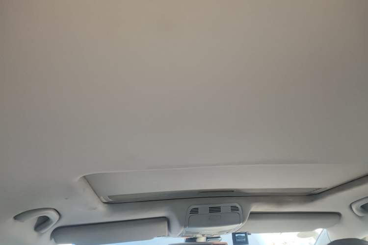 Used Volkswagen Magotan 2011 2.0 TSI DSG Comfort Edition Headliner