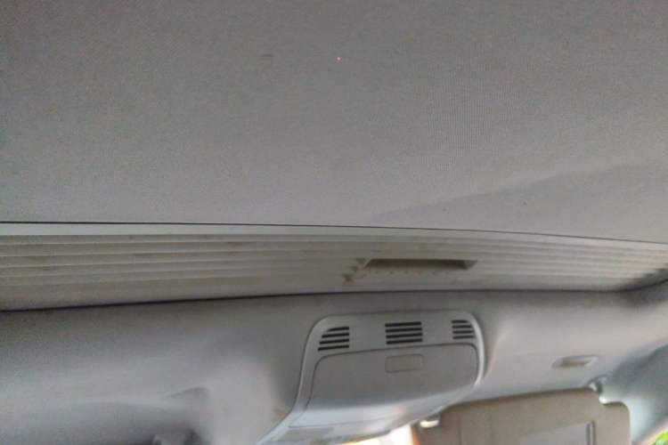 Used Volkswagen Magotan 2011 2.0 TSI DSG Comfort Edition Headliner