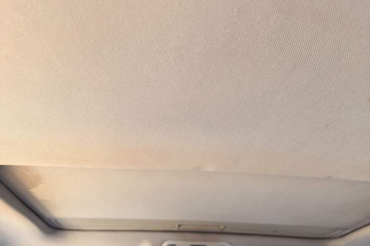 Used Volkswagen Magotan 2011 1.8TSI DSG Comfort Model Headliner
