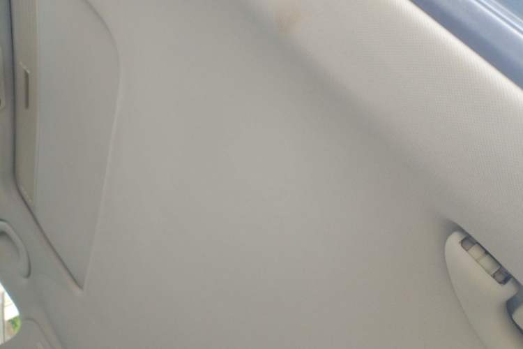 Used Volkswagen Magotan 2011 2.0 TSI DSG Comfort Edition Headliner