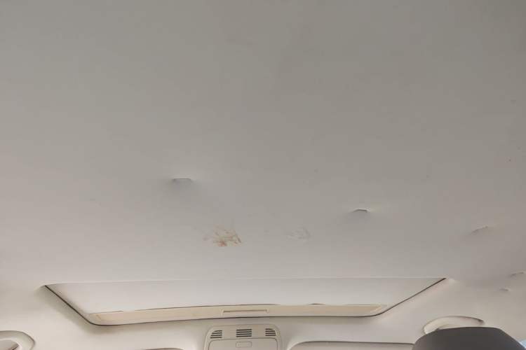 Used Volkswagen Magotan 2012 Facelift 1.8TSI Prestige Model Headliner